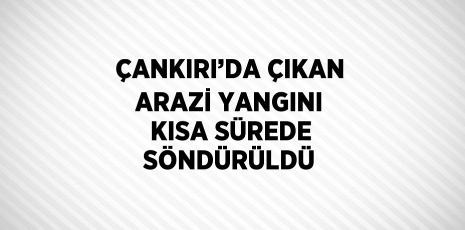 ÇANKIRI’DA ÇIKAN ARAZİ YANGINI KISA SÜREDE SÖNDÜRÜLDÜ