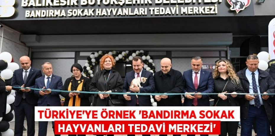 Türkiye’ye örnek “Bandırma Sokak Hayvanları Tedavi Merkezi”