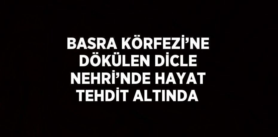 BASRA KÖRFEZİ’NE DÖKÜLEN DİCLE NEHRİ’NDE HAYAT TEHDİT ALTINDA