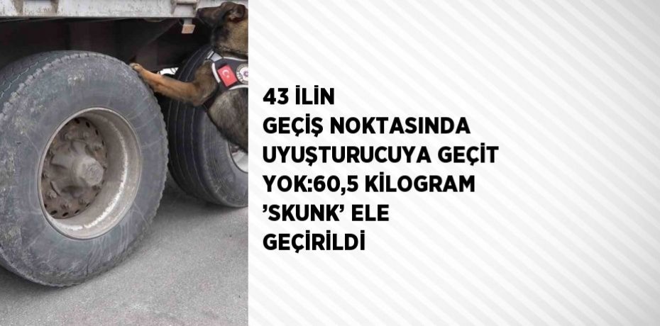 43 İLİN GEÇİŞ NOKTASINDA UYUŞTURUCUYA GEÇİT YOK:60,5 KİLOGRAM ’SKUNK’ ELE GEÇİRİLDİ