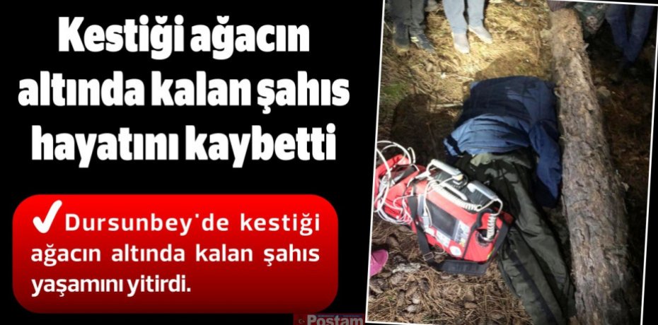 Kestiği ağacın altında kalan şahıs hayatını kaybetti