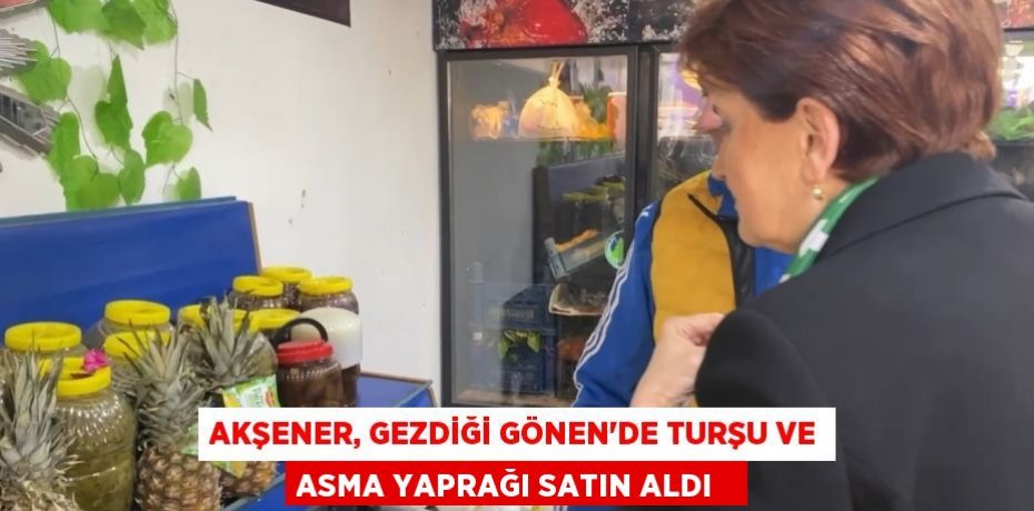 Akşener, gezdiği Gönen'de turşu ve asma yaprağı satın aldı  