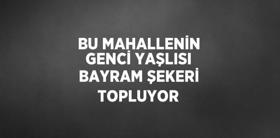 BU MAHALLENİN GENCİ YAŞLISI BAYRAM ŞEKERİ TOPLUYOR