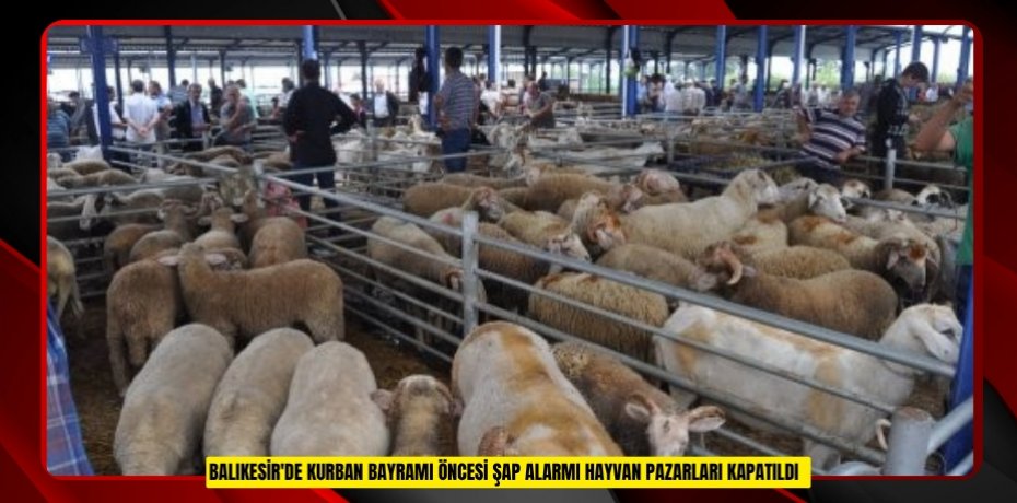 Balıkesir'de Kurban Bayramı öncesi şap alarmı: Hayvan pazarları kapatıldı  