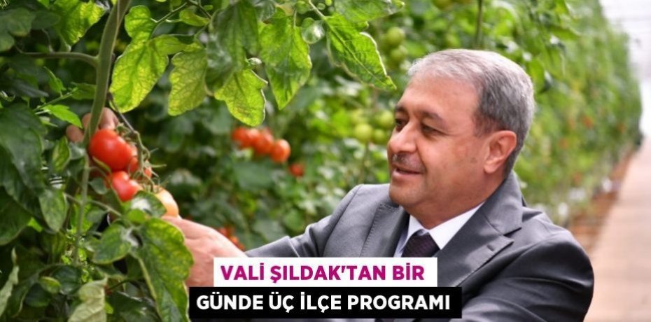 Vali Şıldak'tan Bir Günde Üç İlçe Programı