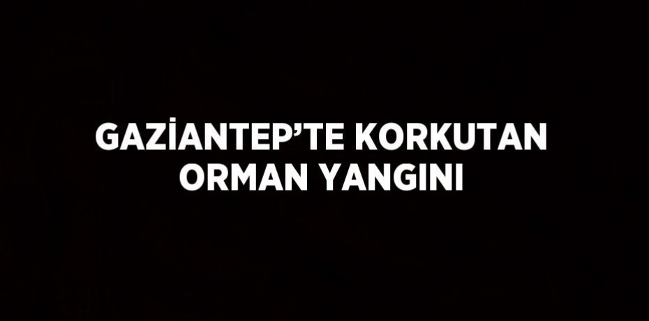 GAZİANTEP’TE KORKUTAN ORMAN YANGINI