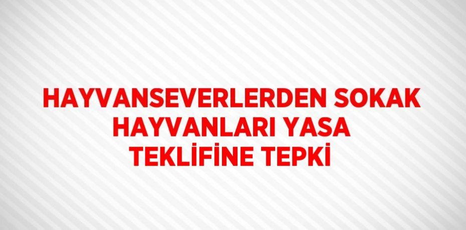 HAYVANSEVERLERDEN SOKAK HAYVANLARI YASA TEKLİFİNE TEPKİ