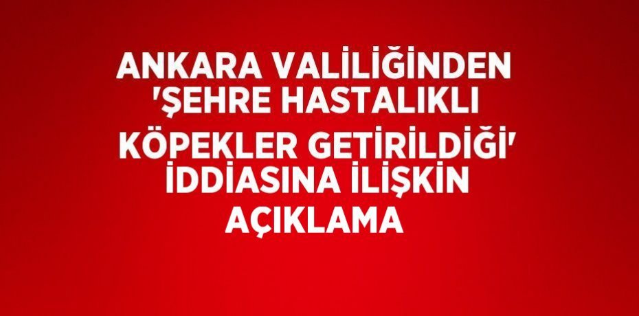 ANKARA VALİLİĞİNDEN 'ŞEHRE HASTALIKLI KÖPEKLER GETİRİLDİĞİ' İDDİASINA İLİŞKİN AÇIKLAMA