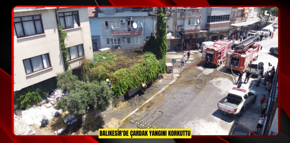 Balıkesir'de çardak yangını korkuttu
