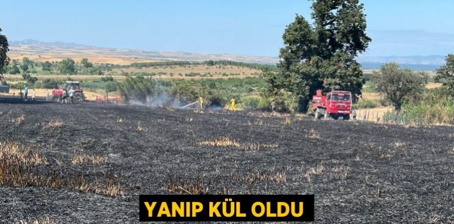 Yanıp kül oldu