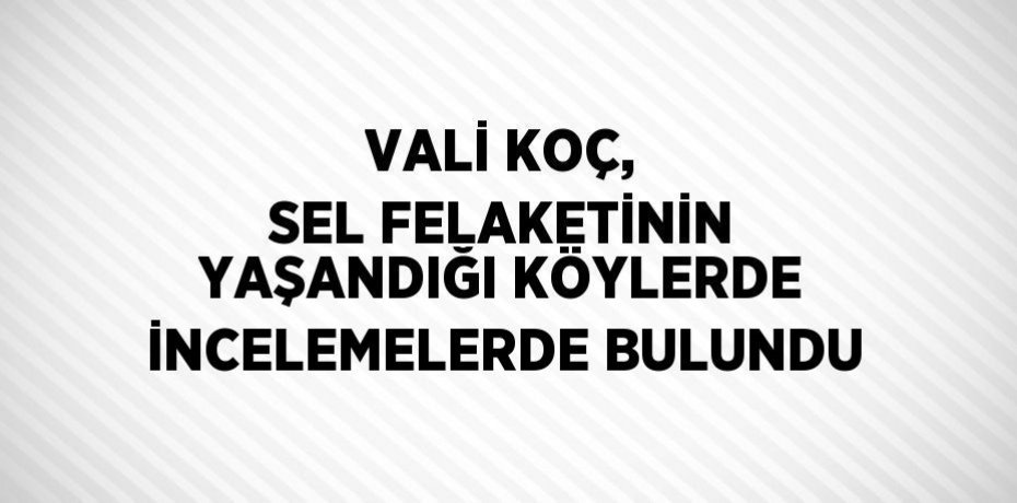 VALİ KOÇ, SEL FELAKETİNİN YAŞANDIĞI KÖYLERDE İNCELEMELERDE BULUNDU