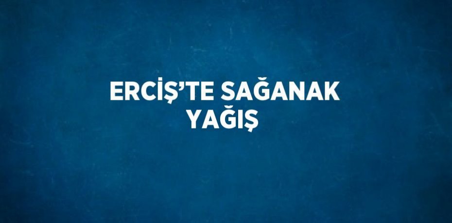 ERCİŞ’TE SAĞANAK YAĞIŞ
