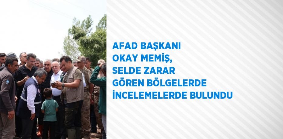 AFAD BAŞKANI OKAY MEMİŞ, SELDE ZARAR GÖREN BÖLGELERDE İNCELEMELERDE BULUNDU