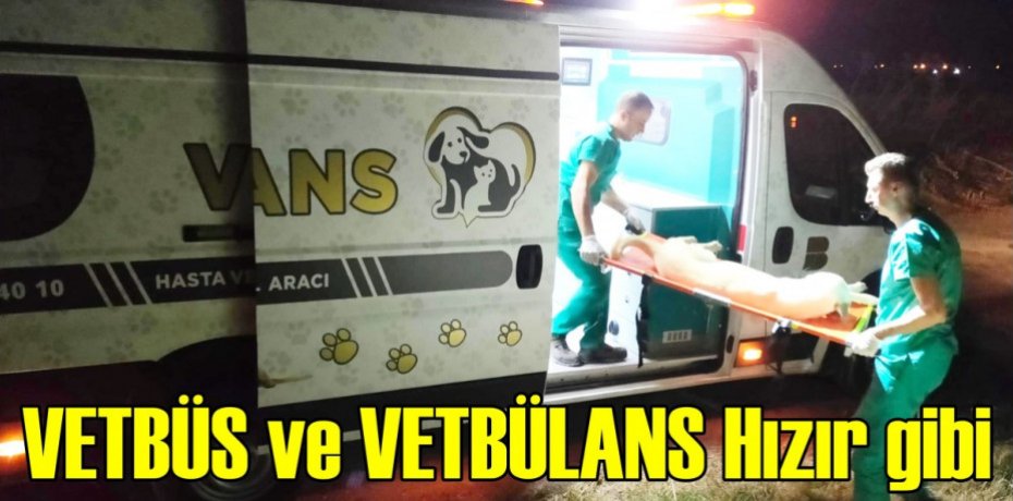 VETBÜS ve VETBÜLANS Hızır gibi