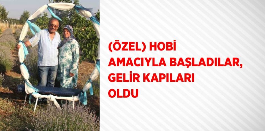 (ÖZEL) HOBİ AMACIYLA BAŞLADILAR, GELİR KAPILARI OLDU