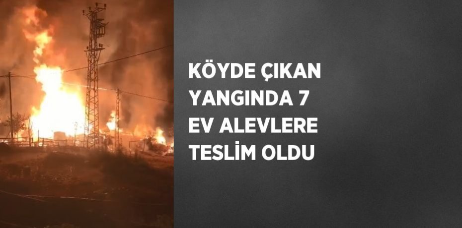 KÖYDE ÇIKAN YANGINDA 7 EV ALEVLERE TESLİM OLDU