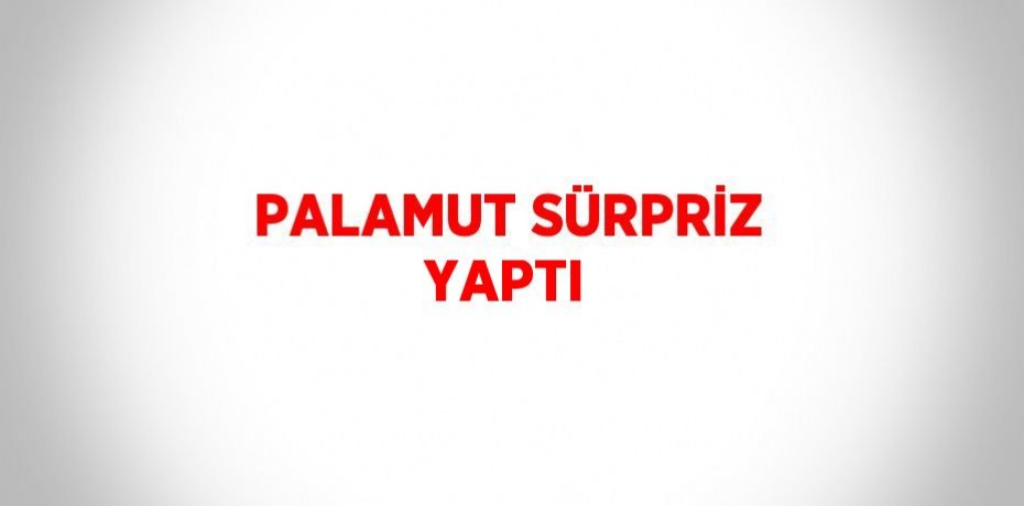 PALAMUT SÜRPRİZ YAPTI