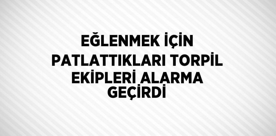 EĞLENMEK İÇİN PATLATTIKLARI TORPİL EKİPLERİ ALARMA GEÇİRDİ