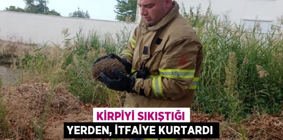 KİRPİYİ SIKIŞTIĞI YERDEN, İTFAİYE KURTARDI