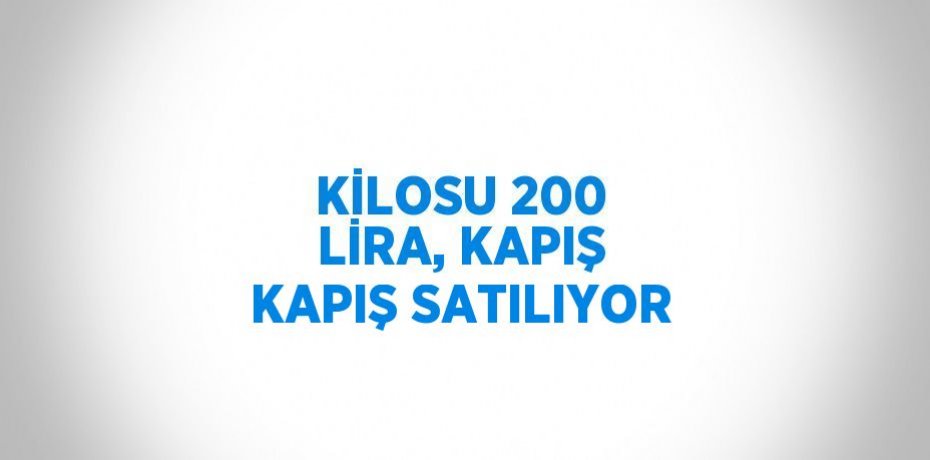 KİLOSU 200 LİRA, KAPIŞ KAPIŞ SATILIYOR