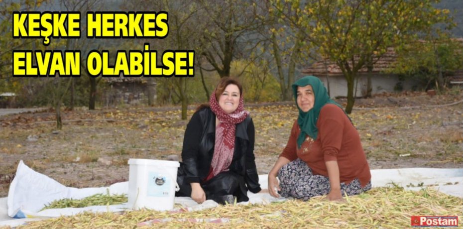 KEŞKE HERKES ELVAN OLABİLSE!