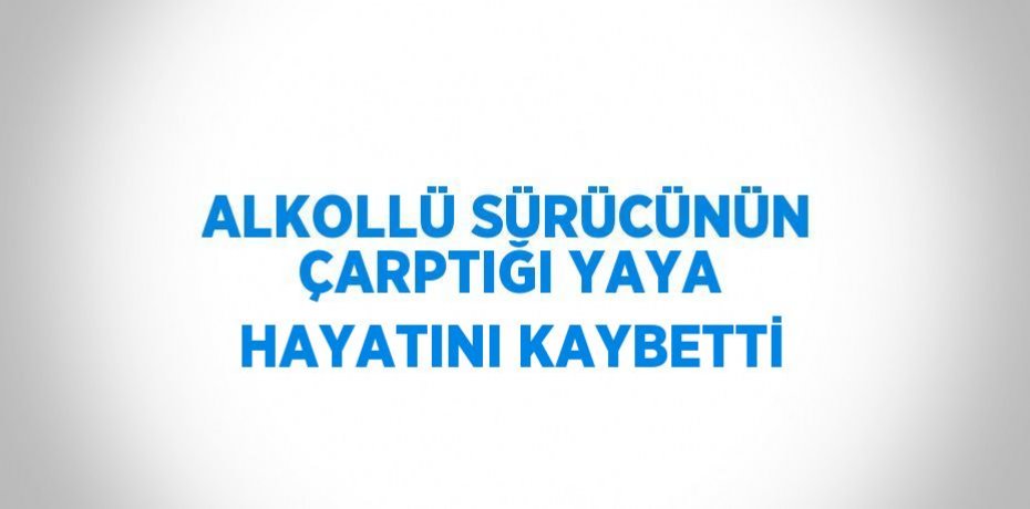 ALKOLLÜ SÜRÜCÜNÜN ÇARPTIĞI YAYA HAYATINI KAYBETTİ
