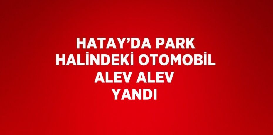 HATAY’DA PARK HALİNDEKİ OTOMOBİL ALEV ALEV YANDI