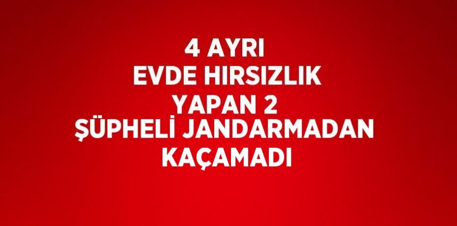 4 AYRI EVDE HIRSIZLIK YAPAN 2 ŞÜPHELİ JANDARMADAN KAÇAMADI