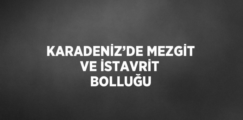 KARADENİZ’DE MEZGİT VE İSTAVRİT BOLLUĞU