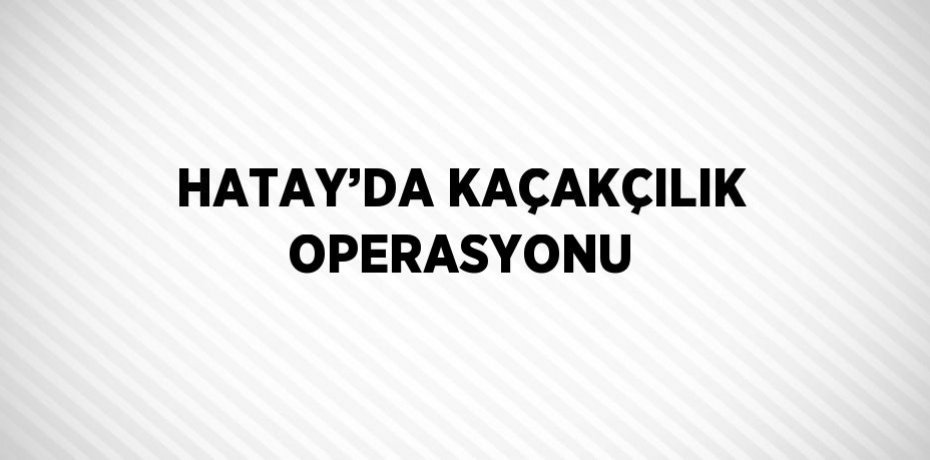 HATAY’DA KAÇAKÇILIK OPERASYONU