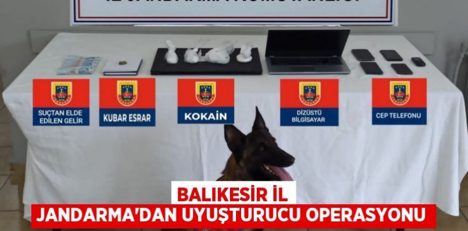Balıkesir İl Jandarma'dan uyuşturucu operasyonu