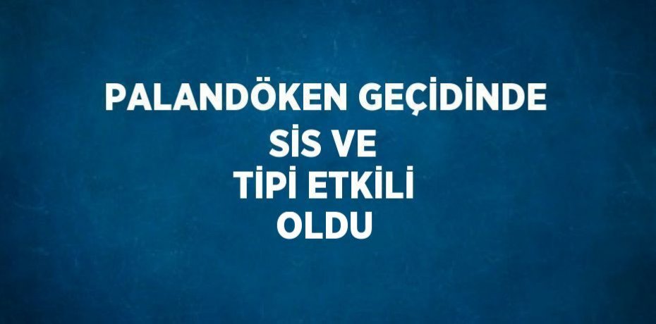 PALANDÖKEN GEÇİDİNDE SİS VE TİPİ ETKİLİ OLDU