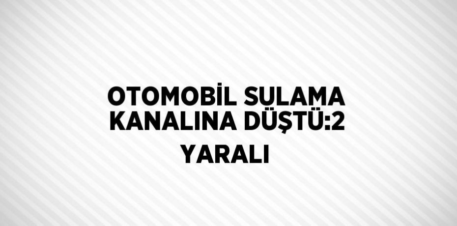 OTOMOBİL SULAMA KANALINA DÜŞTÜ:2 YARALI
