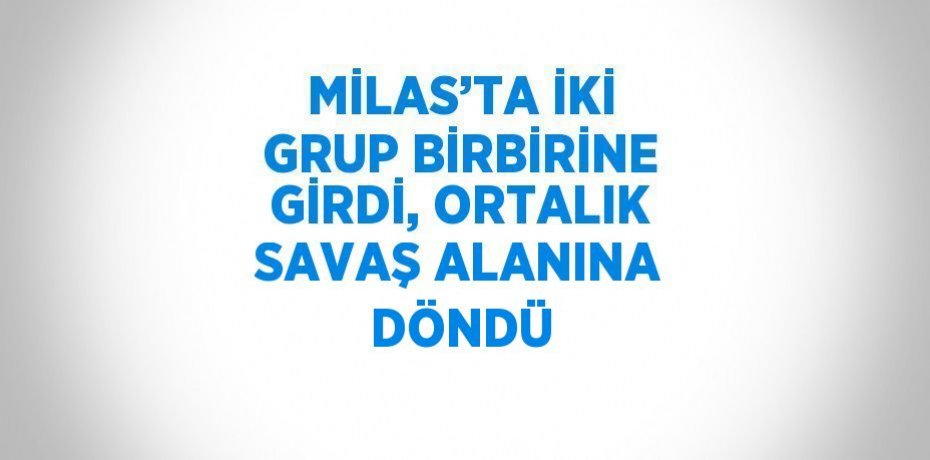 MİLAS’TA İKİ GRUP BİRBİRİNE GİRDİ, ORTALIK SAVAŞ ALANINA DÖNDÜ
