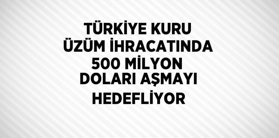 TÜRKİYE KURU ÜZÜM İHRACATINDA 500 MİLYON DOLARI AŞMAYI HEDEFLİYOR