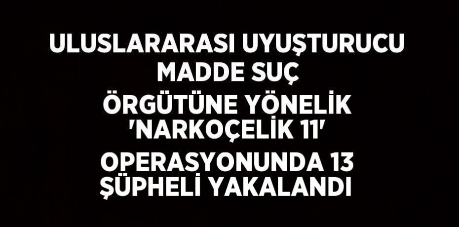 ULUSLARARASI UYUŞTURUCU MADDE SUÇ ÖRGÜTÜNE YÖNELİK 'NARKOÇELİK 11' OPERASYONUNDA 13 ŞÜPHELİ YAKALANDI