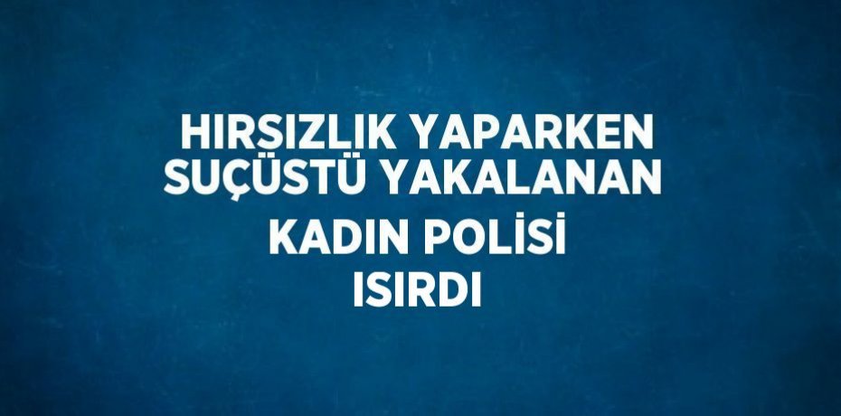 HIRSIZLIK YAPARKEN SUÇÜSTÜ YAKALANAN KADIN POLİSİ ISIRDI