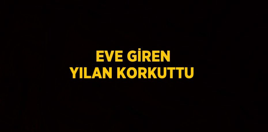 EVE GİREN YILAN KORKUTTU
