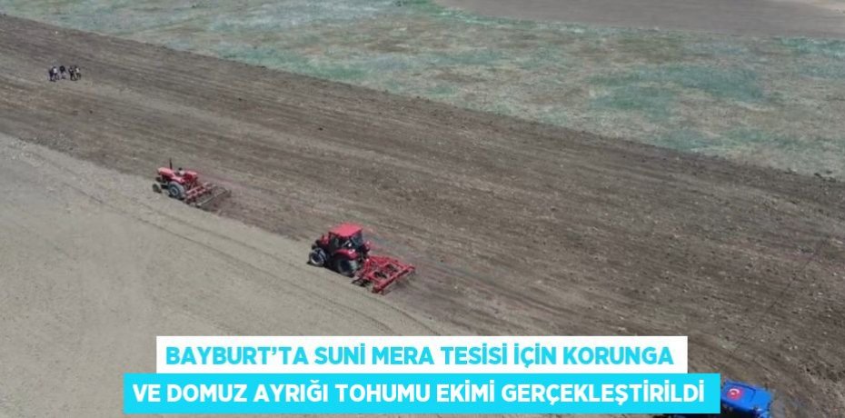 BAYBURT’TA SUNİ MERA TESİSİ İÇİN KORUNGA VE DOMUZ AYRIĞI TOHUMU EKİMİ GERÇEKLEŞTİRİLDİ