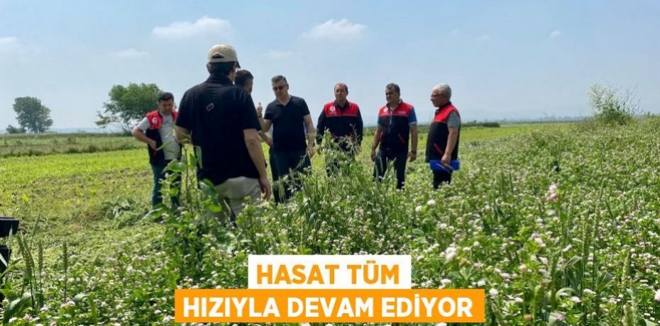 Hasat Tüm Hızıyla Devam Ediyor