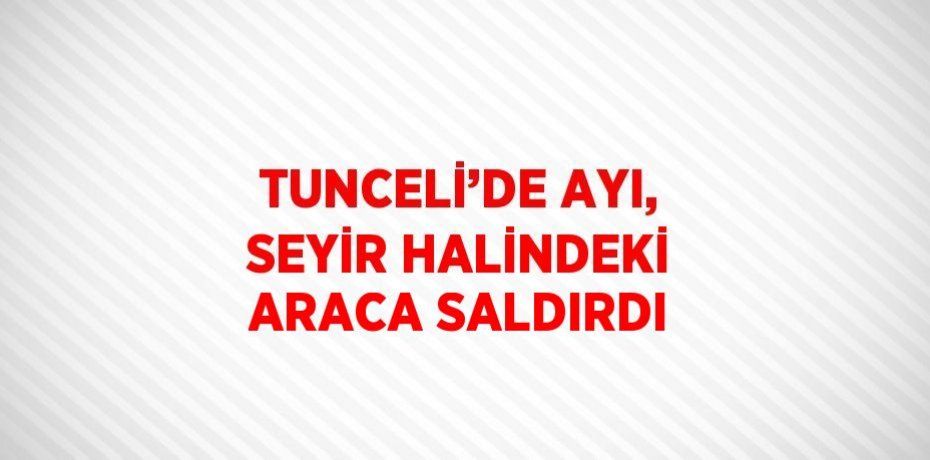 TUNCELİ’DE AYI, SEYİR HALİNDEKİ ARACA SALDIRDI