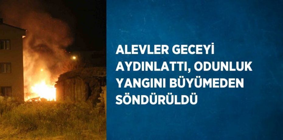 ALEVLER GECEYİ AYDINLATTI, ODUNLUK YANGINI BÜYÜMEDEN SÖNDÜRÜLDÜ