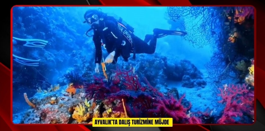 Ayvalık’ta dalış turizmine müjde  
