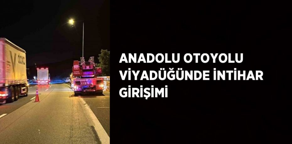 ANADOLU OTOYOLU VİYADÜĞÜNDE İNTİHAR GİRİŞİMİ