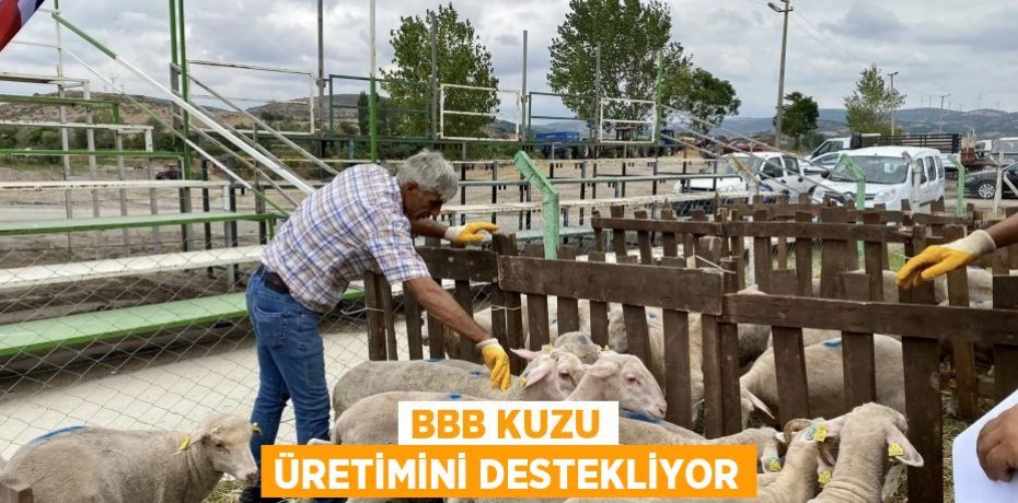 BBB Kuzu Üretimini destekliyor
