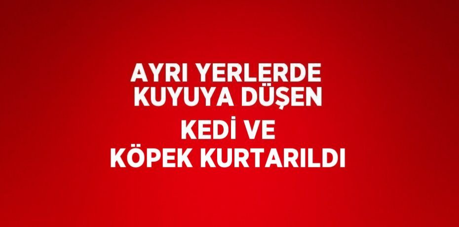 AYRI YERLERDE KUYUYA DÜŞEN KEDİ VE KÖPEK KURTARILDI