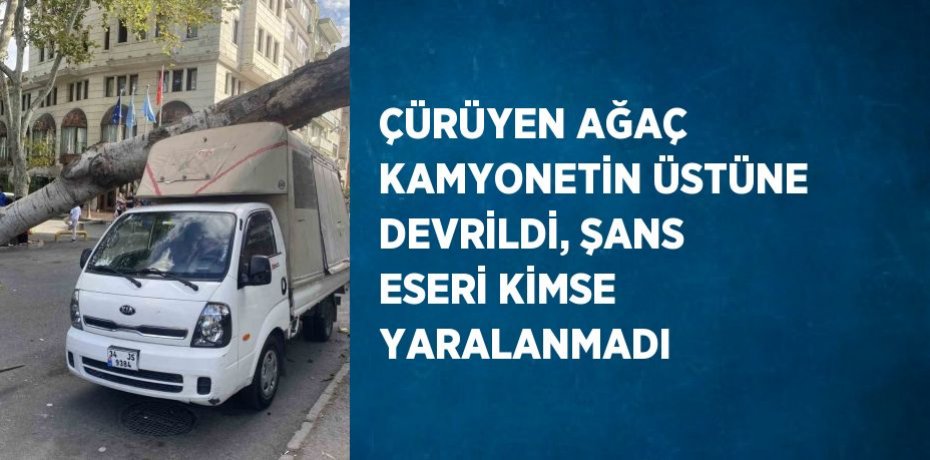 ÇÜRÜYEN AĞAÇ KAMYONETİN ÜSTÜNE DEVRİLDİ, ŞANS ESERİ KİMSE YARALANMADI