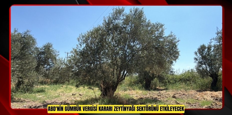 ABD'nin gümrük vergisi kararı zeytinyağı sektörünü etkileyecek...