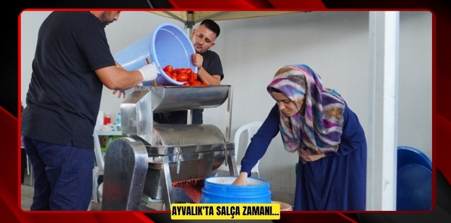 AYVALIK'TA SALÇA ZAMANI…