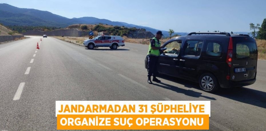 Jandarmadan 31 şüpheliye organize suç operasyonu